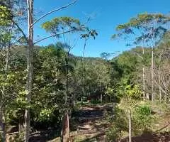 Sítio a venda nas Montanhas de São Francisco Xavier - SP - Imagem 2