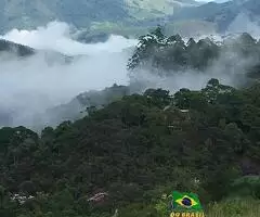 Sítio a venda nas Montanhas de São Francisco Xavier - SP - Imagem 4