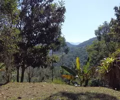 Sítio a venda no topo das montanhas de São Francisco Xavier - SP - Imagem 4