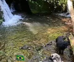 Sítio a venda no topo das montanhas de São Francisco Xavier - SP - Imagem 5