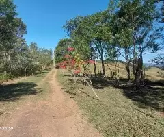 Sítio com 36 hectares nas montanhas de São Francisco Xavier - SP - Imagem 11