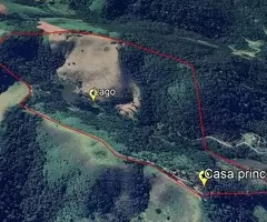 Sítio com 36 hectares nas montanhas de São Francisco Xavier - SP - Imagem 15