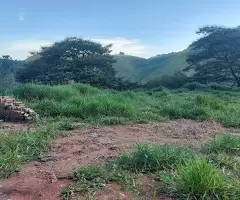 BR00477 | Chácara a venda no bairro do Souza Monteiro Lobato - Imagem 7