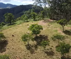 BR00477 | Chácara a venda no bairro do Souza Monteiro Lobato - Imagem 9