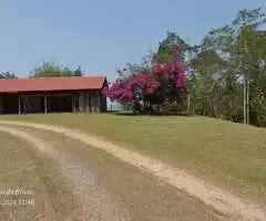 Sítio cinematográfico a venda em São Francisco Xavier - SP - Imagem 7