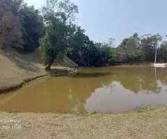 Sítio cinematográfico a venda em São Francisco Xavier - SP - Imagem 11