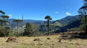 Terreno cinematográfico a venda no Rio manso, SFX - Imagem 4