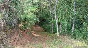 Terreno cinematográfico a venda no Rio manso, SFX - Imagem 7