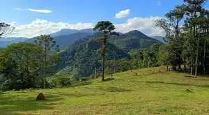 Terreno cinematográfico a venda no Rio manso, SFX - Imagem 13