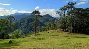 Terreno cinematográfico a venda no Rio manso, SFX - Imagem 14