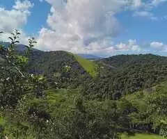 Chacara a venda em Monteiro Lobato - Imagem 11