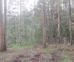 Terreno com área de 20 mil m² - Imagem 5