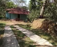 Casa pra locação no bugre - SFX - Imagem 5