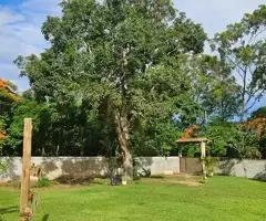 Casa/Chácara Ensolarada e Muito Bem Ventilada – Rasa, Búzios - Imagem 3