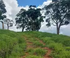 Terreno Cinematográfico em São Francisco Xavier