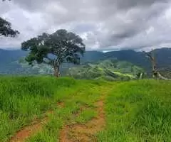 Terreno Cinematográfico em São Francisco Xavier - Imagem 2