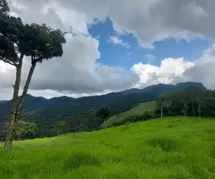 Terreno Cinematográfico em São Francisco Xavier - Imagem 3