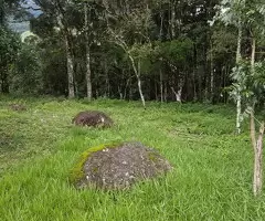 Terreno Cinematográfico em São Francisco Xavier - Imagem 5