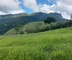 Terreno Cinematográfico em São Francisco Xavier - Imagem 6