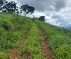 Terreno Cinematográfico em São Francisco Xavier - Imagem 7