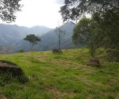 Terreno Cinematográfico em São Francisco Xavier - Imagem 10