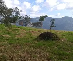 Terreno Cinematográfico em São Francisco Xavier - Imagem 11