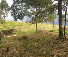 Terreno Cinematográfico em São Francisco Xavier - Imagem 12