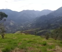 Terreno Cinematográfico em São Francisco Xavier - Imagem 13