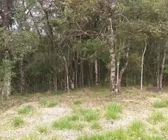 Terreno Cinematográfico em São Francisco Xavier - Imagem 14