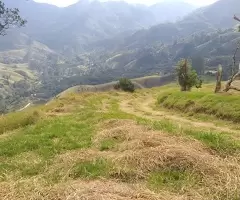 Terreno Cinematográfico em São Francisco Xavier - Imagem 15