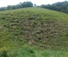 Terreno no Bairro do Cafundó – São Francisco Xavier - Imagem 3