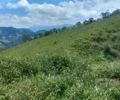 Terreno no Bairro do Cafundó – São Francisco Xavier - Imagem 4