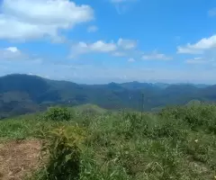 Terreno no Bairro do Cafundó – São Francisco Xavier - Imagem 5