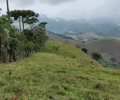 Terreno de 5 Alqueires – Bairro do Cafundó, São Francisco Xavier