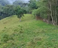 Terreno de 5 Alqueires – Bairro do Cafundó, São Francisco Xavier - Imagem 4