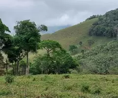 Terreno de 5 Alqueires – Bairro do Cafundó, São Francisco Xavier - Imagem 5