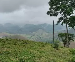 Terreno de 5 Alqueires – Bairro do Cafundó, São Francisco Xavier - Imagem 6