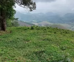 Terreno de 5 Alqueires – Bairro do Cafundó, São Francisco Xavier - Imagem 7