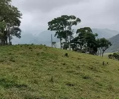 Terreno de 5 Alqueires – Bairro do Cafundó, São Francisco Xavier - Imagem 8