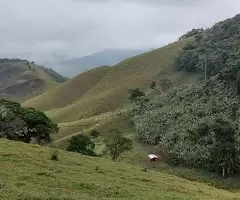 Terreno de 5 Alqueires – Bairro do Cafundó, São Francisco Xavier - Imagem 9