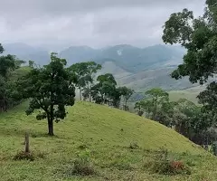 Terreno de 5 Alqueires – Bairro do Cafundó, São Francisco Xavier - Imagem 12