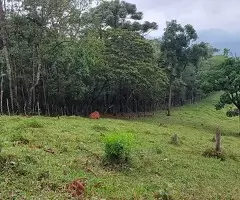 Terreno de 5 Alqueires – Bairro do Cafundó, São Francisco Xavier - Imagem 13