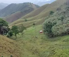 Terreno de 5 Alqueires – Bairro do Cafundó, São Francisco Xavier - Imagem 14