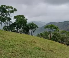 Terreno de 5 Alqueires – Bairro do Cafundó, São Francisco Xavier - Imagem 15