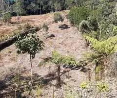 Terreno Espetacular – Bairro Rio Manso, São Francisco Xavier - Imagem 4