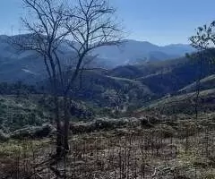 Terreno Espetacular – Bairro Rio Manso, São Francisco Xavier - Imagem 9