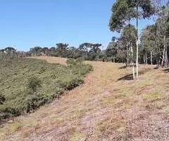 Terreno Espetacular – Bairro Rio Manso, São Francisco Xavier - Imagem 11