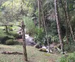 Linda Chácara em São Francisco Xavier – Um Refúgio de Paz e Natureza - Imagem 3