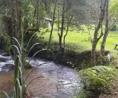 Linda Chácara em São Francisco Xavier – Um Refúgio de Paz e Natureza - Imagem 4