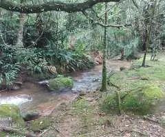 Casa para Locação em Santa Bárbara – Paraíso Natural a Apenas 8 km do Centro - Imagem 2